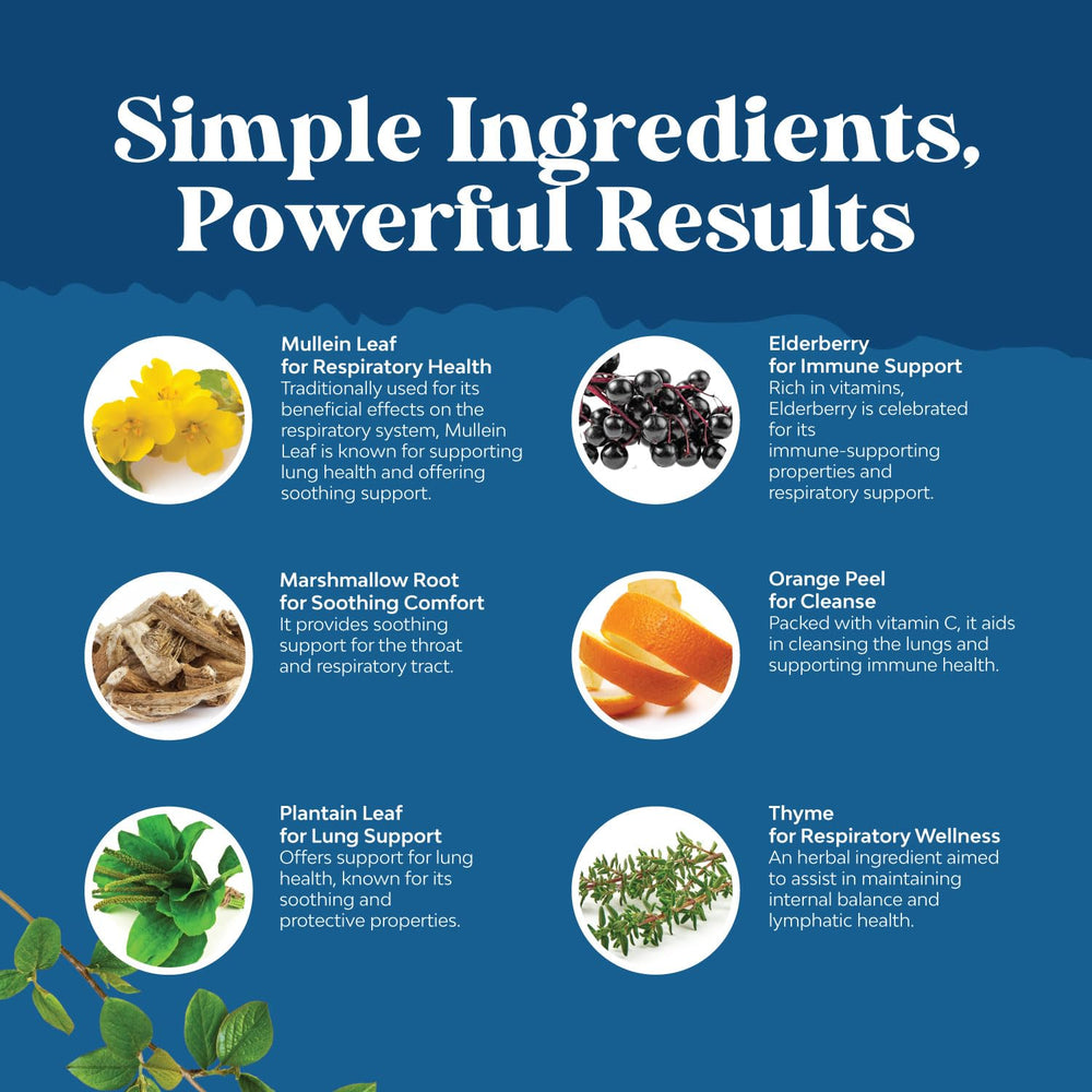 Natures Craft Mullein Drops ingredients scene emphasizes organic, non-GMO, gluten-free formula