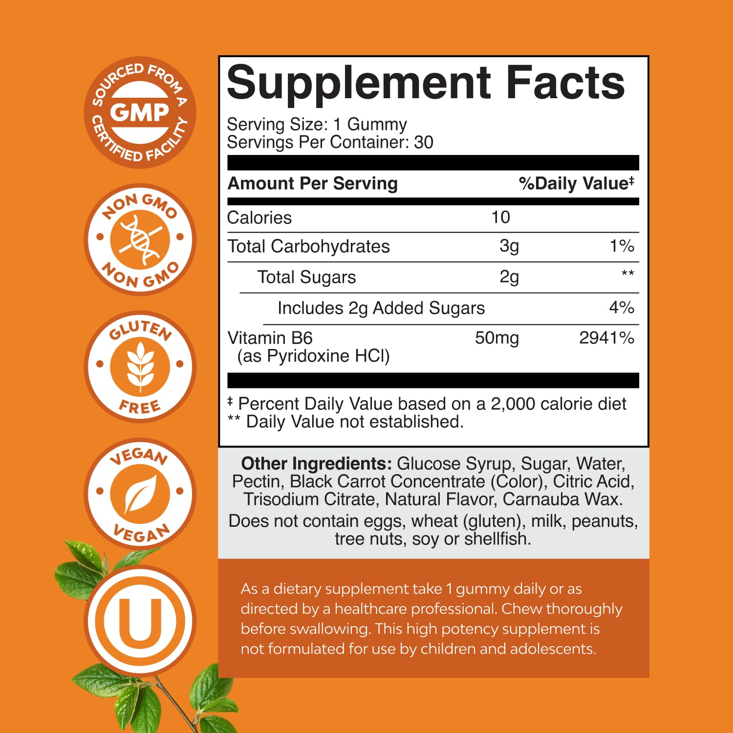 Natures Craft Potent Vitamin B6 Gummies pack highlights easy daily use.