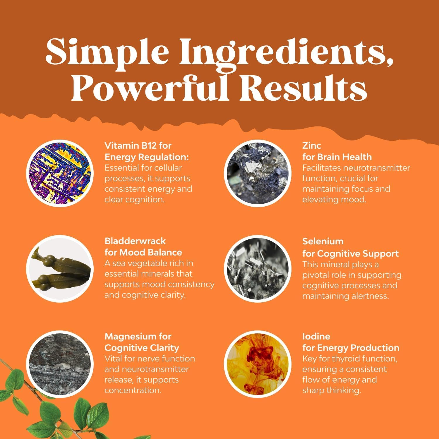 Natures Craft Thyroid Support ingredients with Ashwagandha and Selenium for stress resilience.