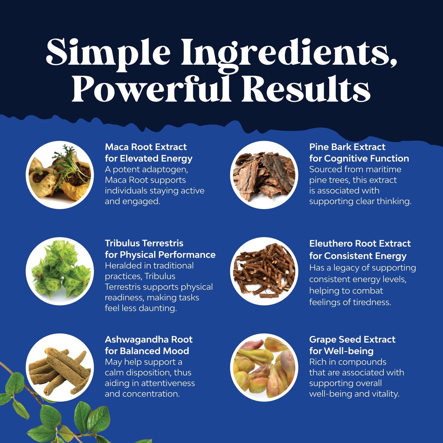 Nature's Craft vegan non-GMO label signals clean ingredients