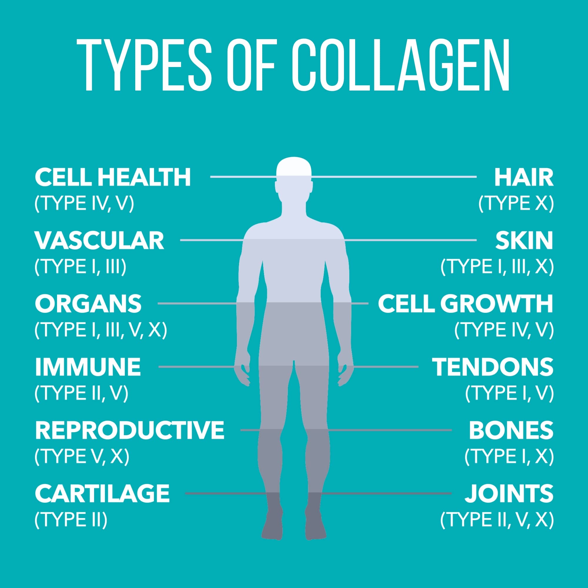 Nature'sPlus Collagen Creamer Vanilla packaging showing the six collagen types.