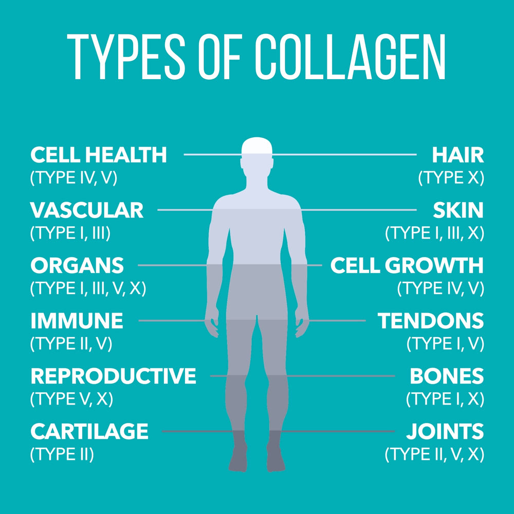 Nature'sPlus Collagen Creamer Vanilla packaging showing the six collagen types.