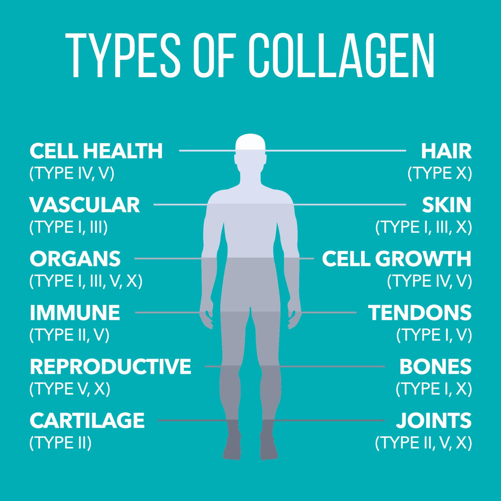 Nature's Plus Collagen Peptides dissolving in tea for smooth texture.