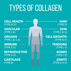 Nature's Plus Collagen Peptides dissolving in tea for smooth texture.