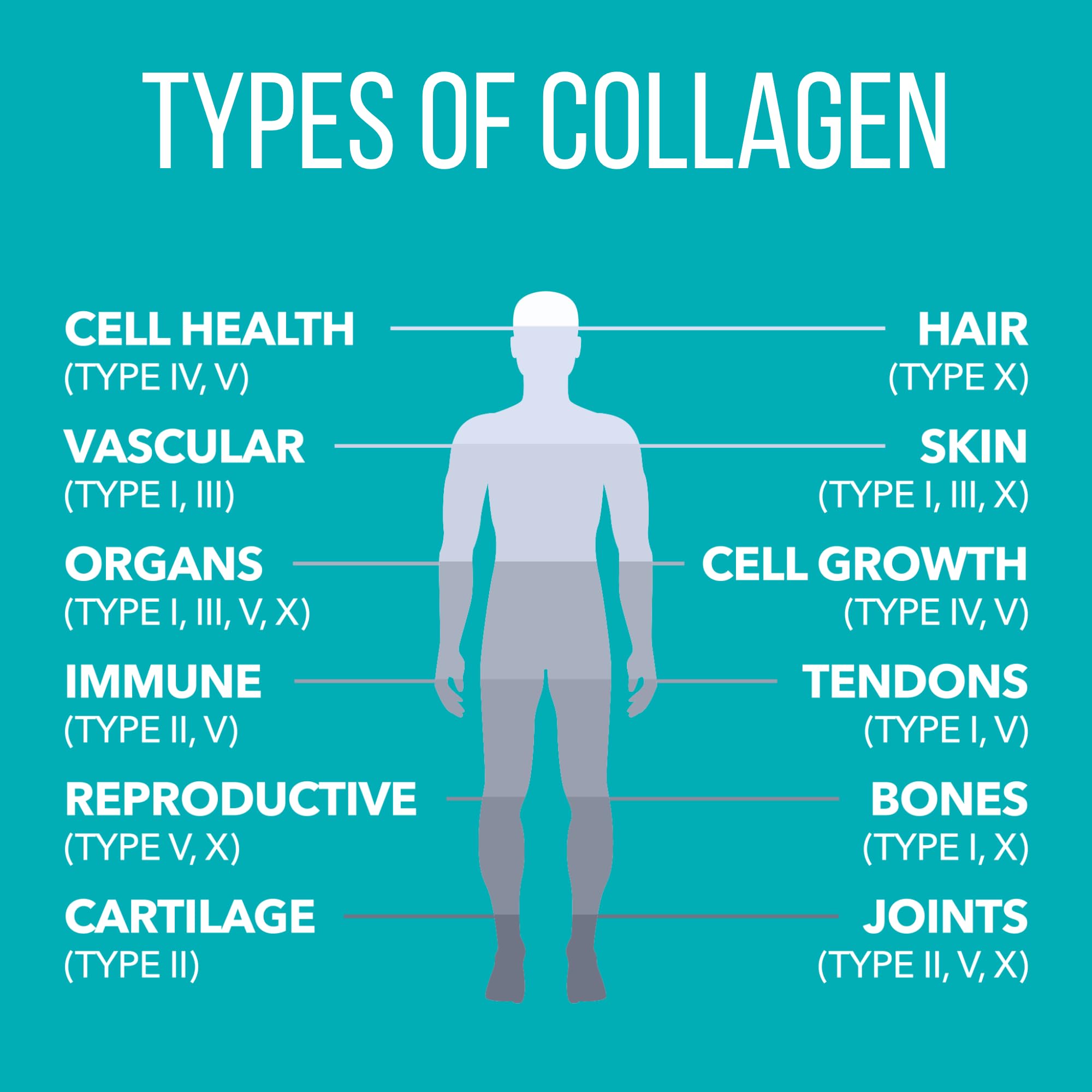 NaturesPlus Collagen Peptides Vanilla mixed drink shows smooth texture.