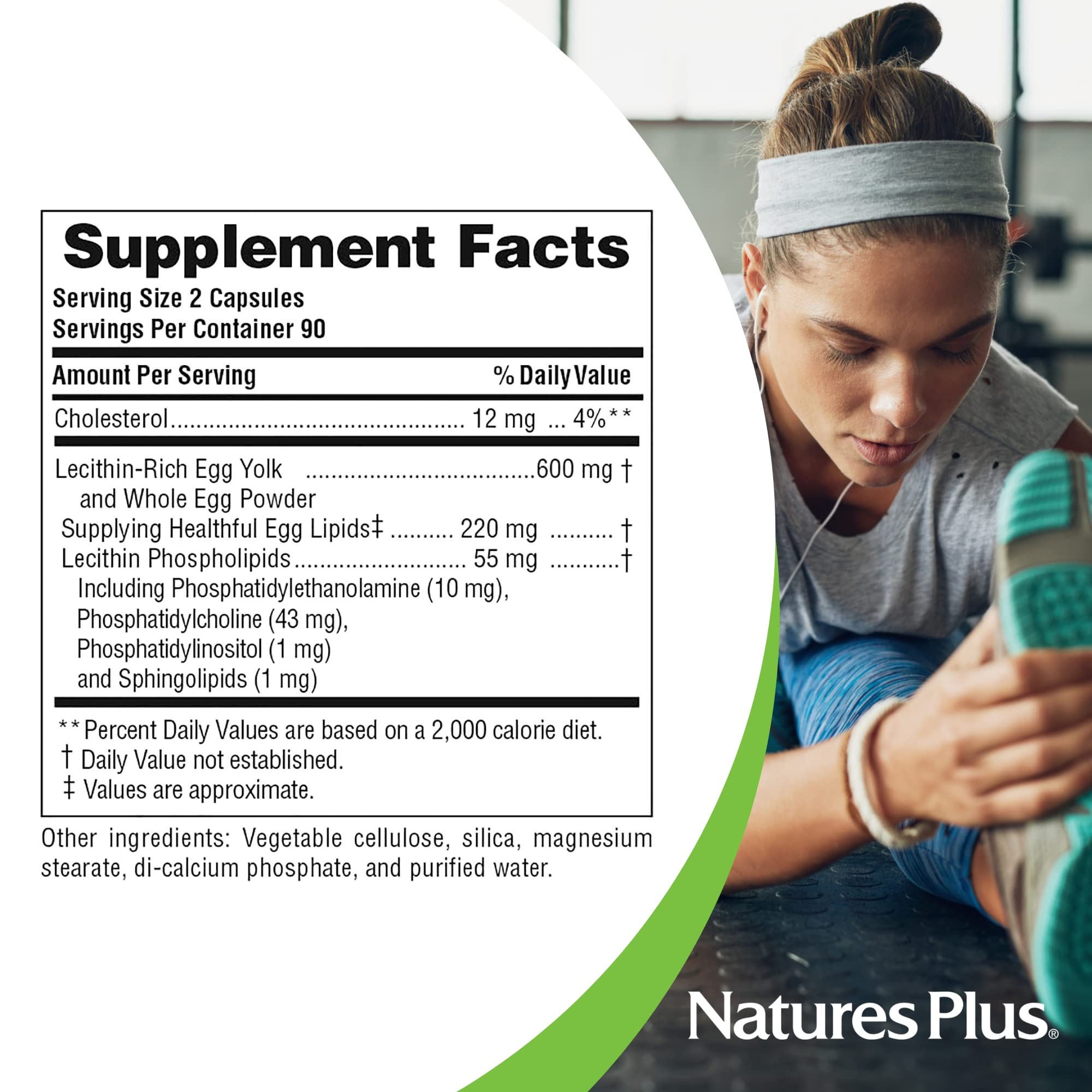 NaturesPlus Egg Yolk Lecithin closeup, 600 mg per capsule for convenient dosing.
