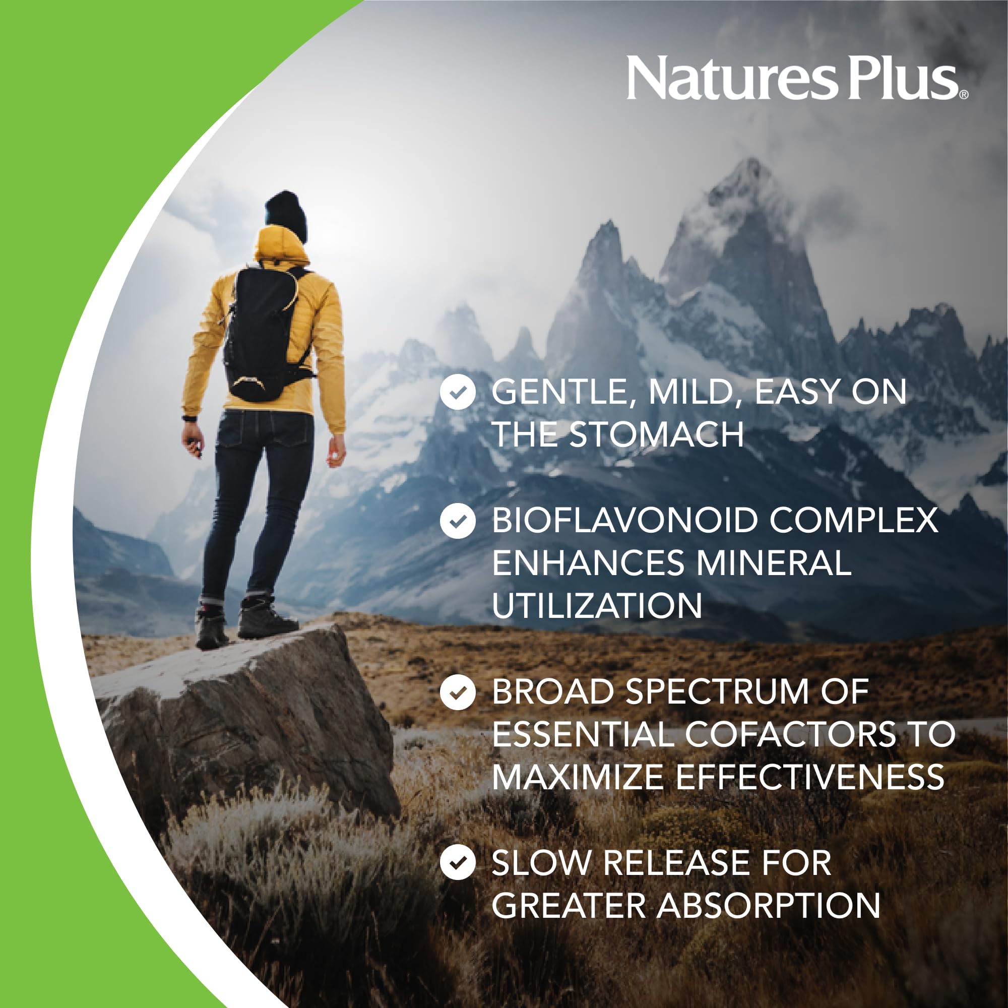 Label detail of NaturesPlus Hema-Plex Iron emphasizing gluten-free and vegetarian formula