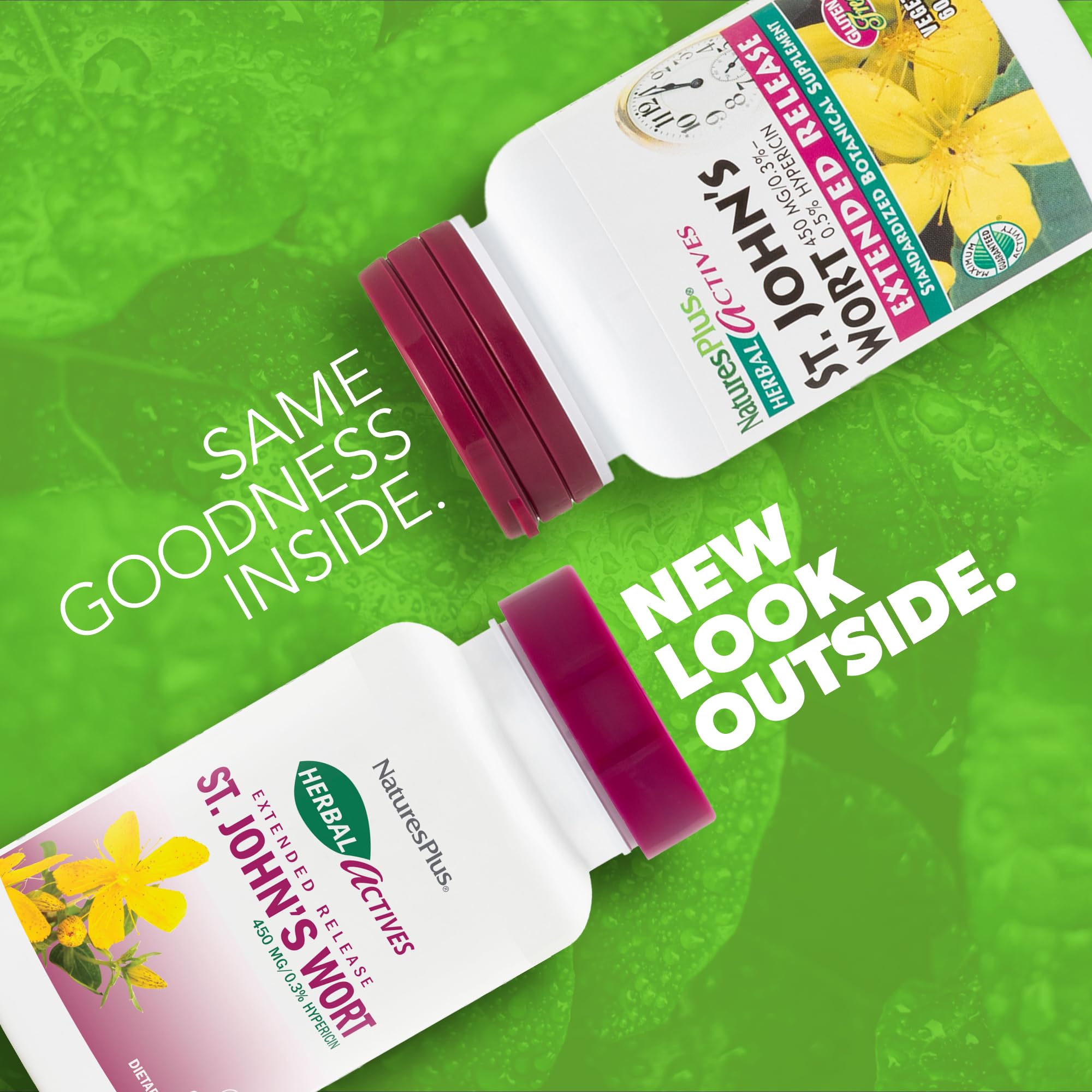 St John's Wort tablets closeup highlighting gluten-free vegan formula