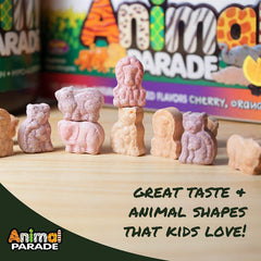 MagKidz animal-shaped tablets make daily magnesium easy for growing children.