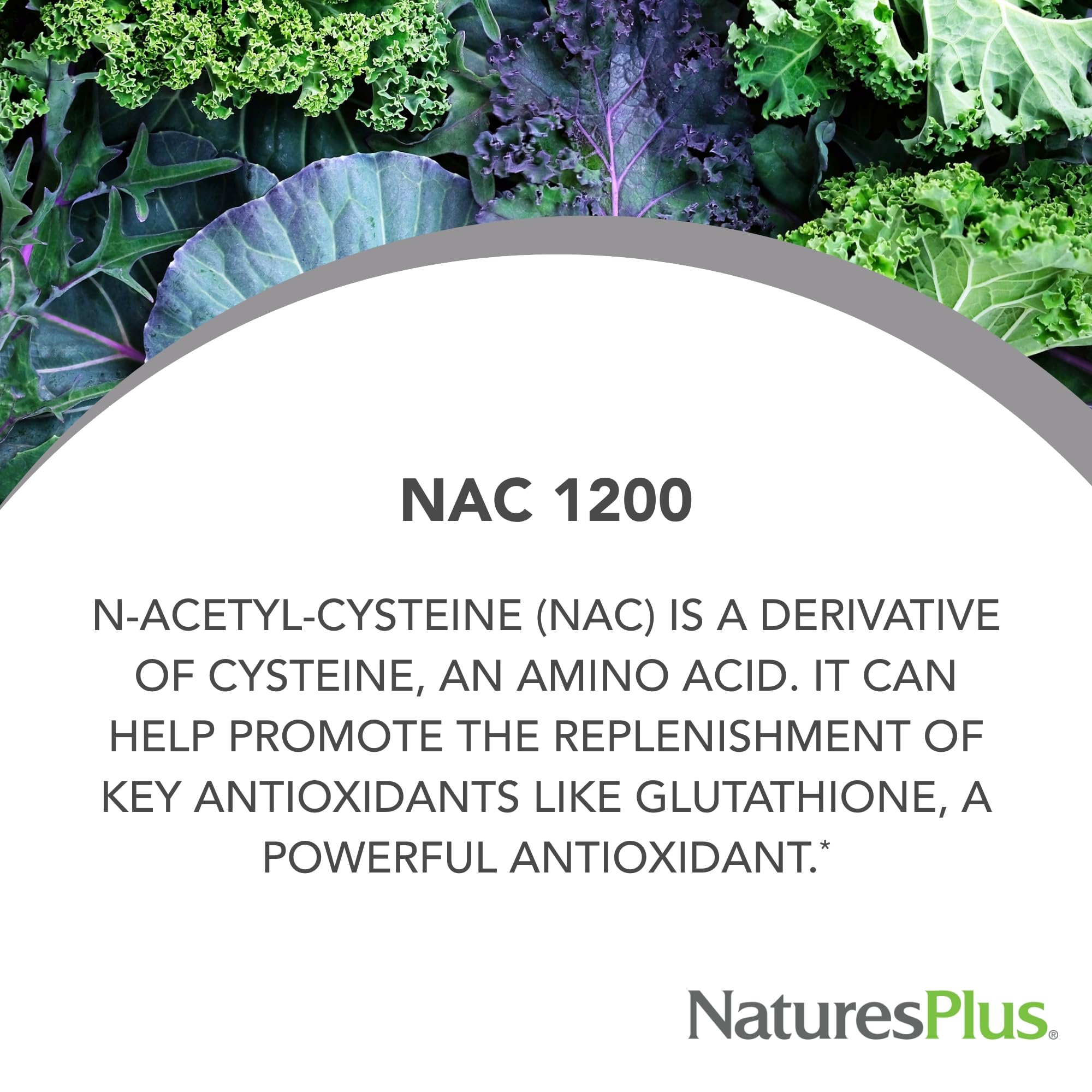 NaturesPlus PRO NAC 1200 mg capsule closeup highlighting potency