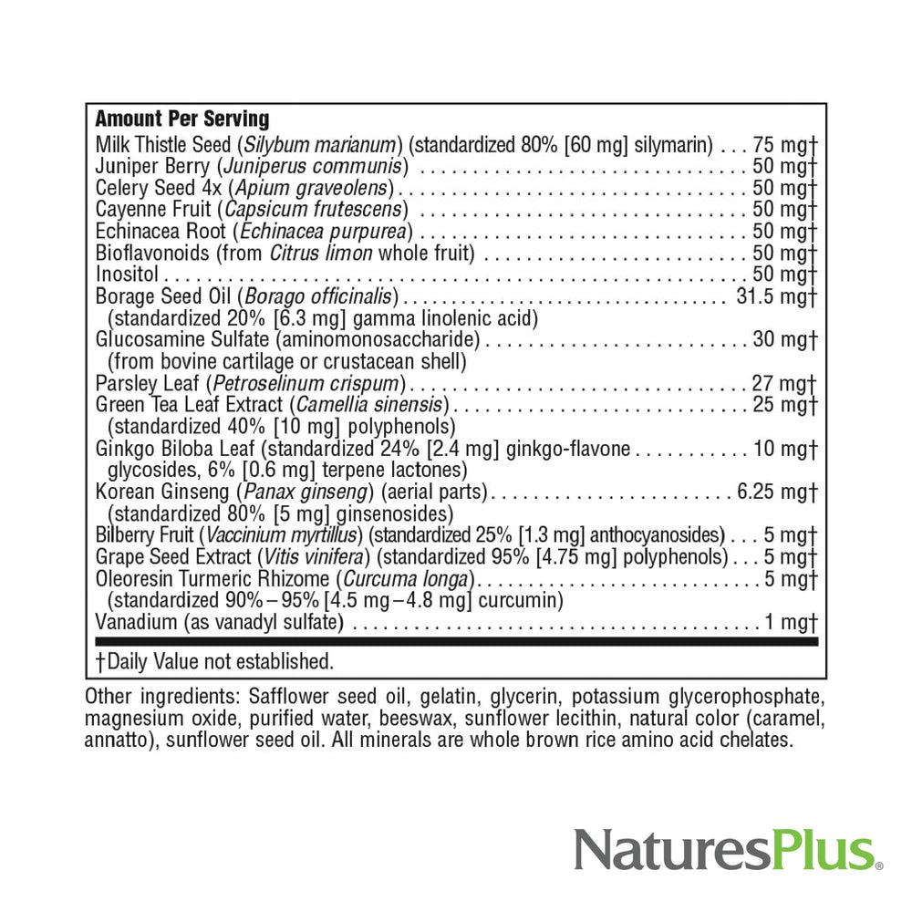 NaturesPlus Regeneration lifestyle scene, on-the-go everyday vitamin routine.