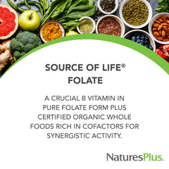 NaturesPlus Source of Life Garden Folate label view highlighting organic ingredients