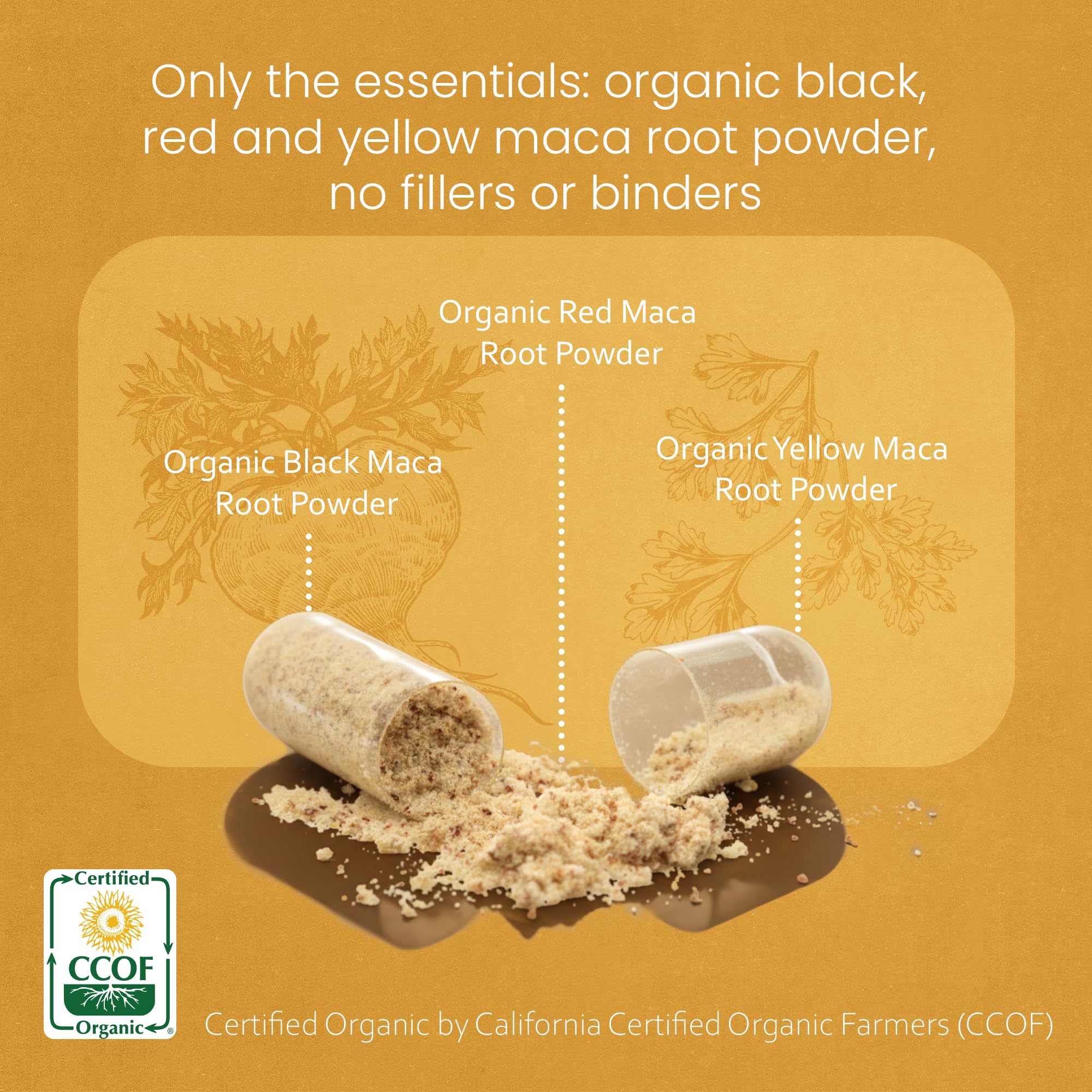 NaturaLife Labs Maca capsules closeup emphasizing gelatinized powder form.