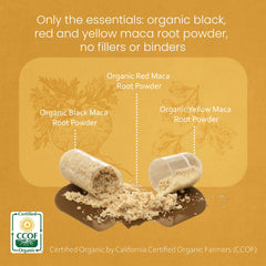 NaturaLife Labs Maca capsules closeup emphasizing gelatinized powder form.