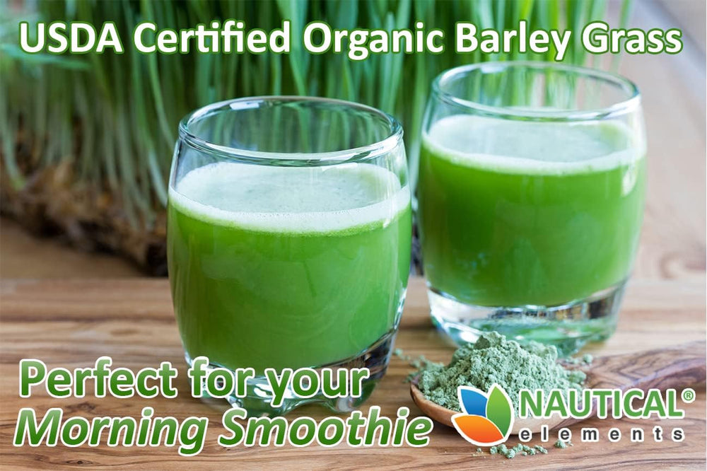 Nautical Elements Barley Grass Powder spoon close-up reveals fine texture and quality