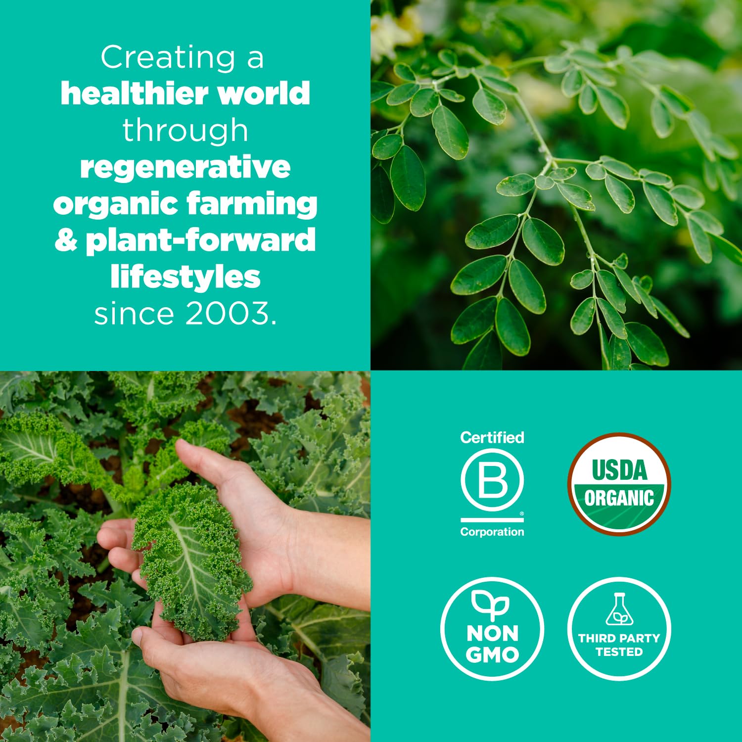 Navitas Moringa Kale Wheatgrass ingredients spotlight emphasizes detox-friendly greens