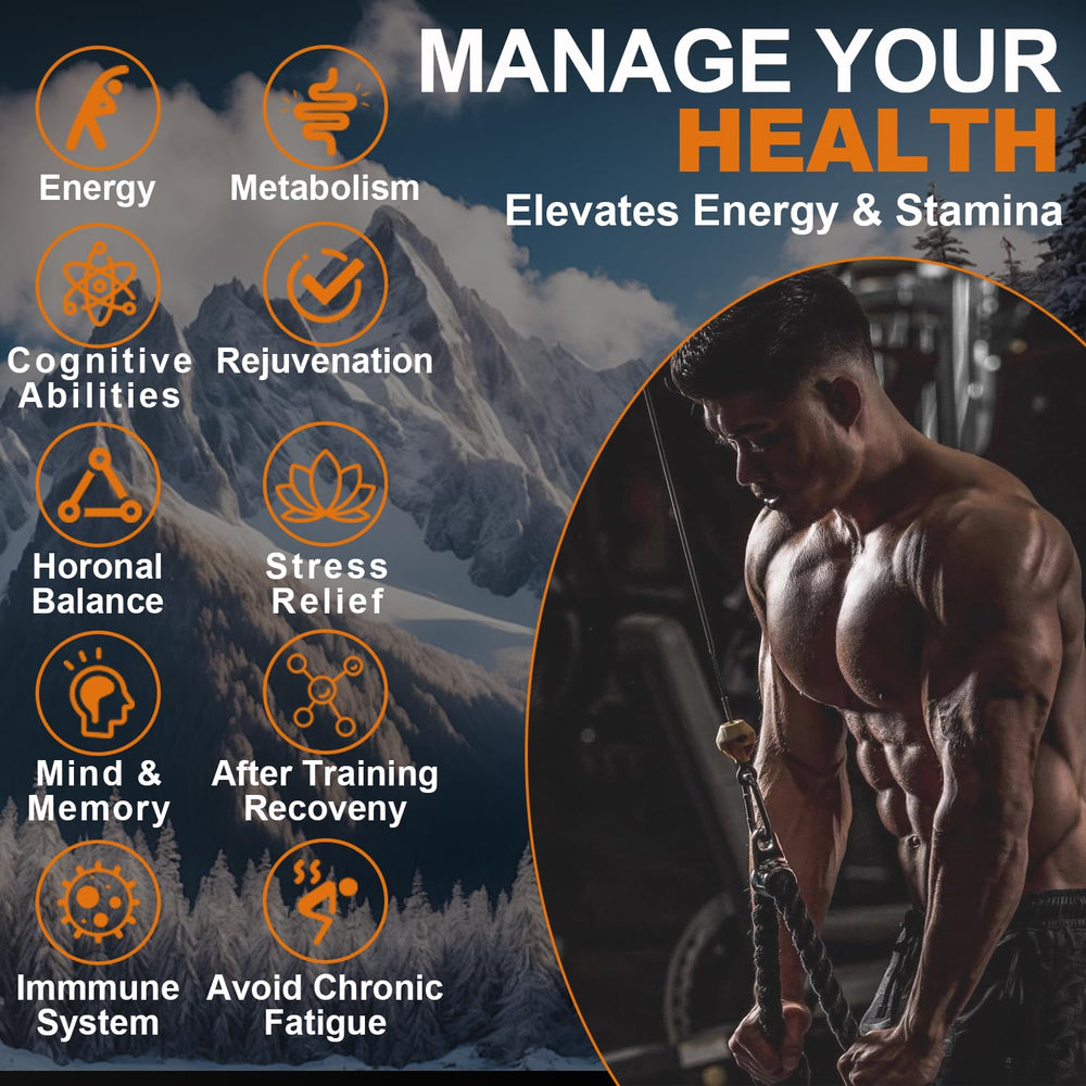 Naypiny Shilajit Resin pictured for immune-support in daily use.