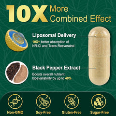 NBOOCUP liposomal formulation visual illustrating advanced delivery for higher absorption.
