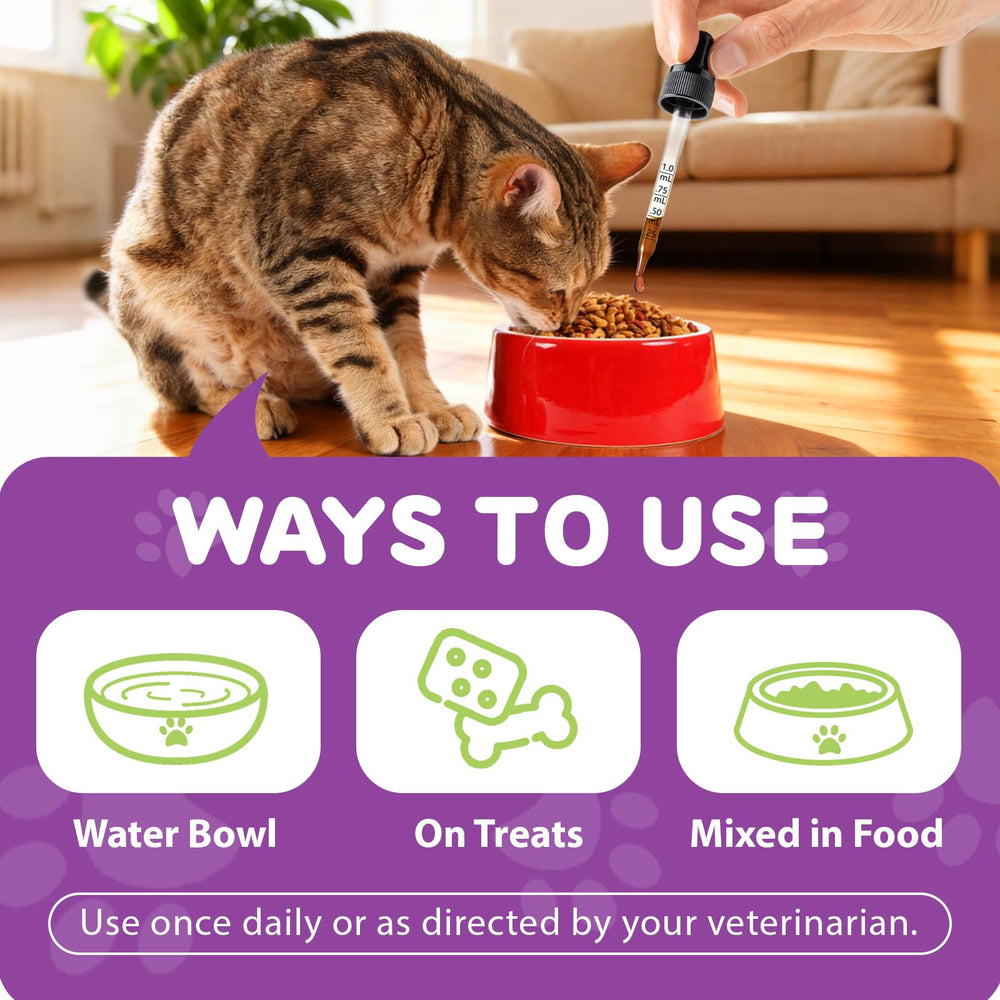 NBTREKTIE Lysine-dropper-bottle highlights easy at-home administration.