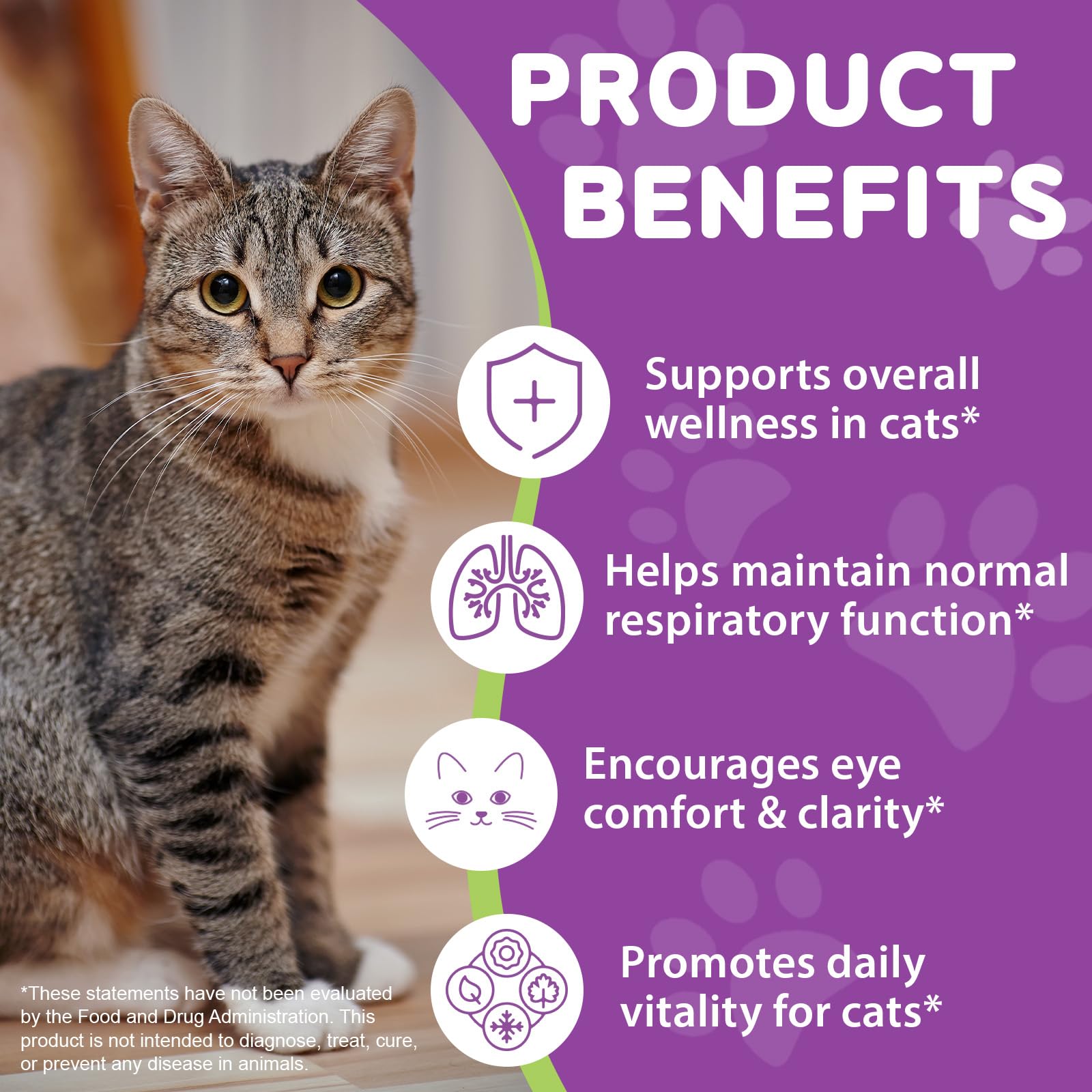 NBTREKTIE Lysine-immune-support-ingredients support vitality and coat health.