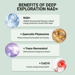 Ncduyde NAD+ formula with resveratrol ingredients label, highlighting antioxidant synergy.