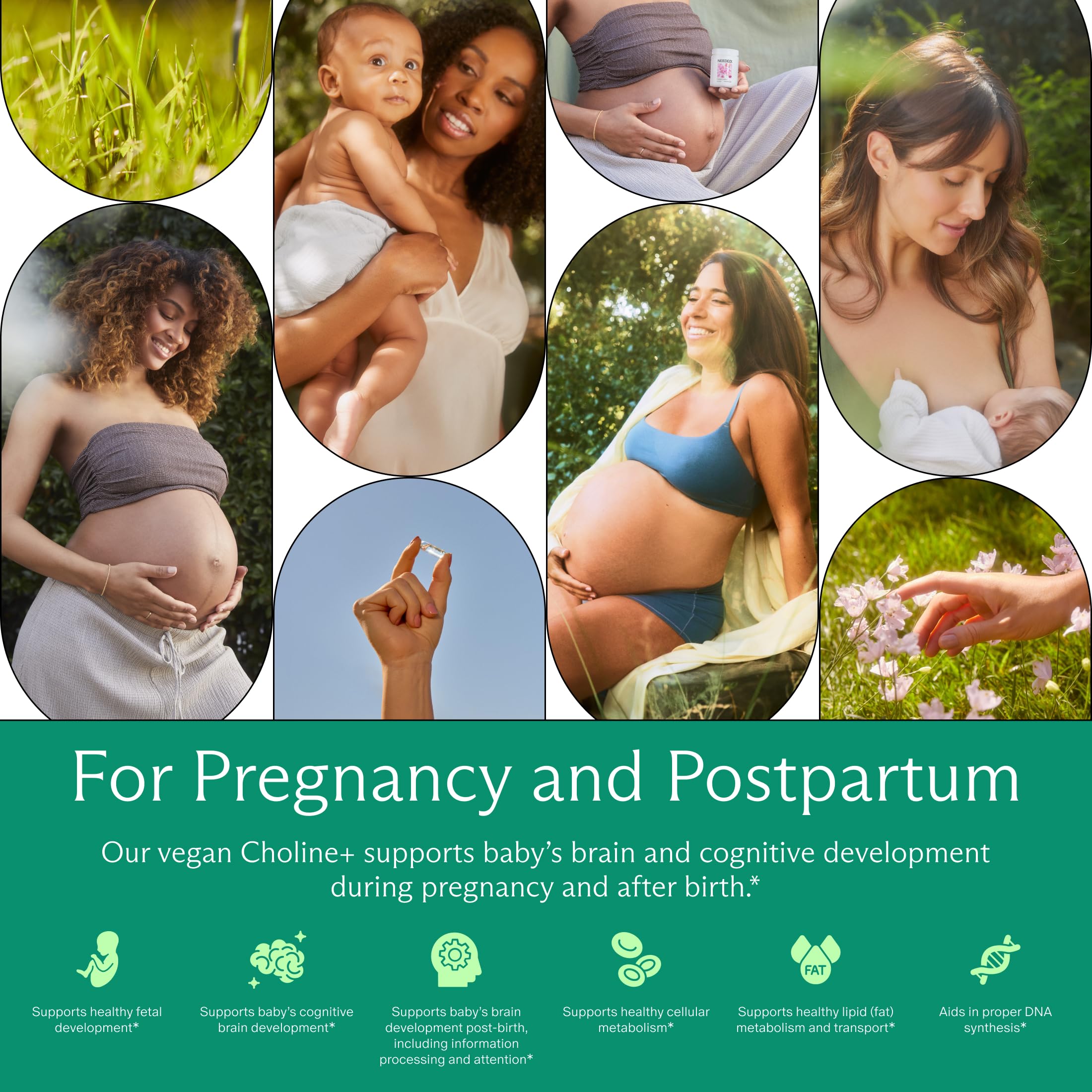 Needed Prenatal Choline+ packaging unopened ensures freshness for expectant mothers.