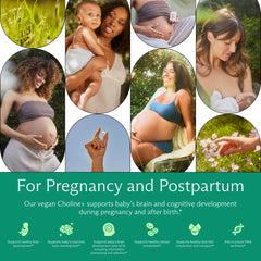 Needed Prenatal Choline+ packaging unopened ensures freshness for expectant mothers.