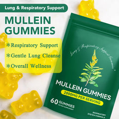 NenMaoKeNu Mullein Leaf Extract ingredient label for natural lung health.