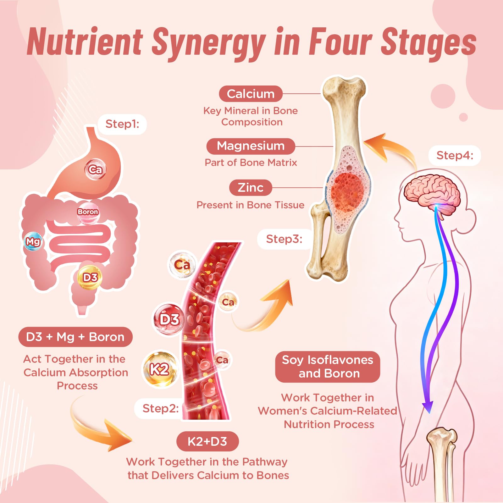 Nepeolithia Calcium Gummies variety flavors display for enjoyable daily vitamin routine.