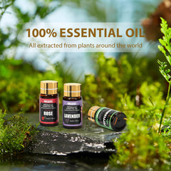 NESCCI essential oil set in a diffuser scene highlighting aroma options