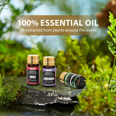 NESCCI essential oil set diffuser aroma-fill scene showcasing room aromatics.