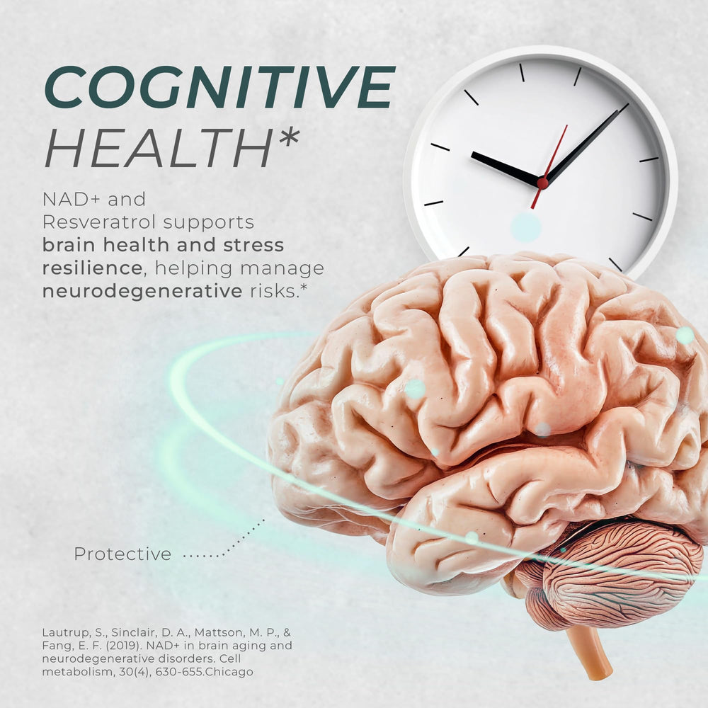 Neurogan NAD+ Resveratrol GMP seal signals third-party testing and purity