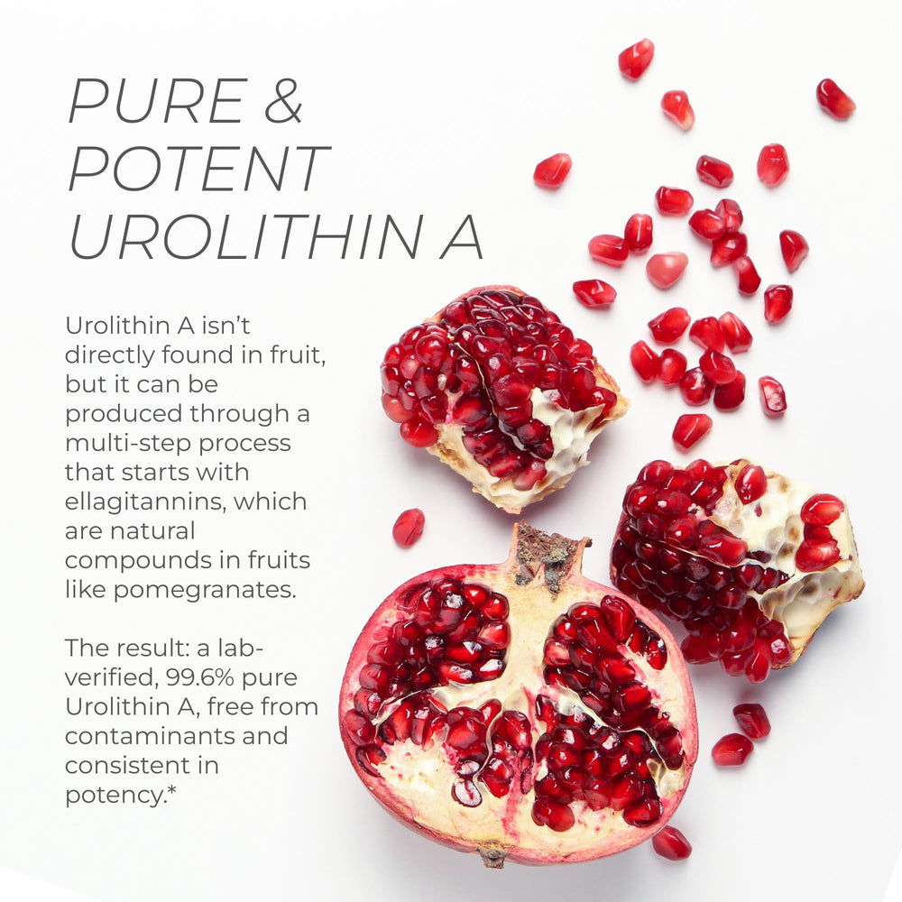 Neurogan Urolithin A label closeup reveals purity and product details.