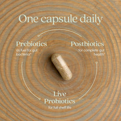 New Chapter All-Flora prebiotic fiber demonstrates fuel for probiotics and GI comfort.