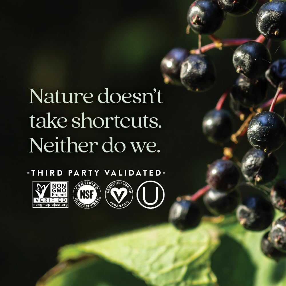 New Chapter Elderberry Force in-hand demonstrates portable daily immune support option.