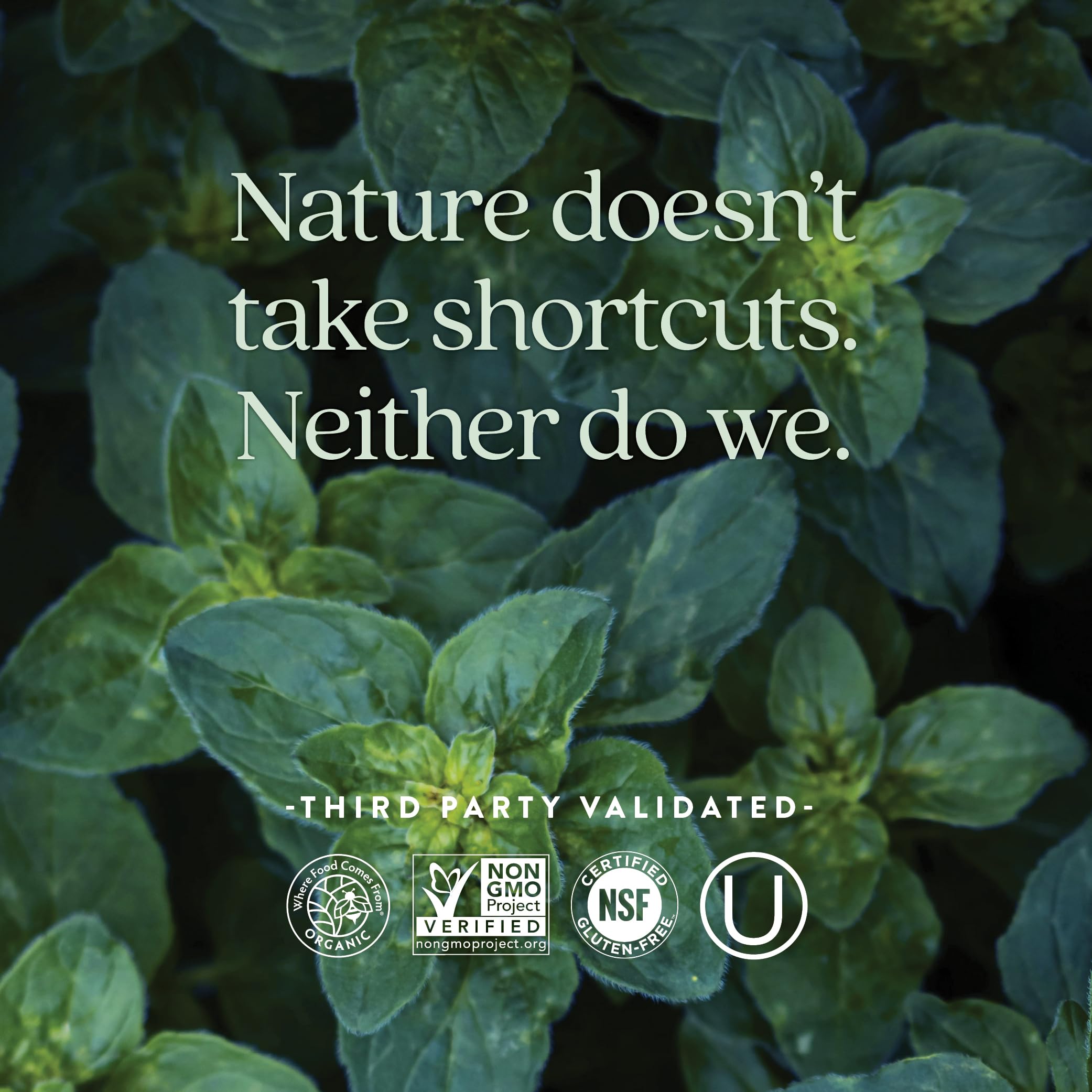 New Chapter 40+ organic vegetables and herbs indicate whole-food ingredients.