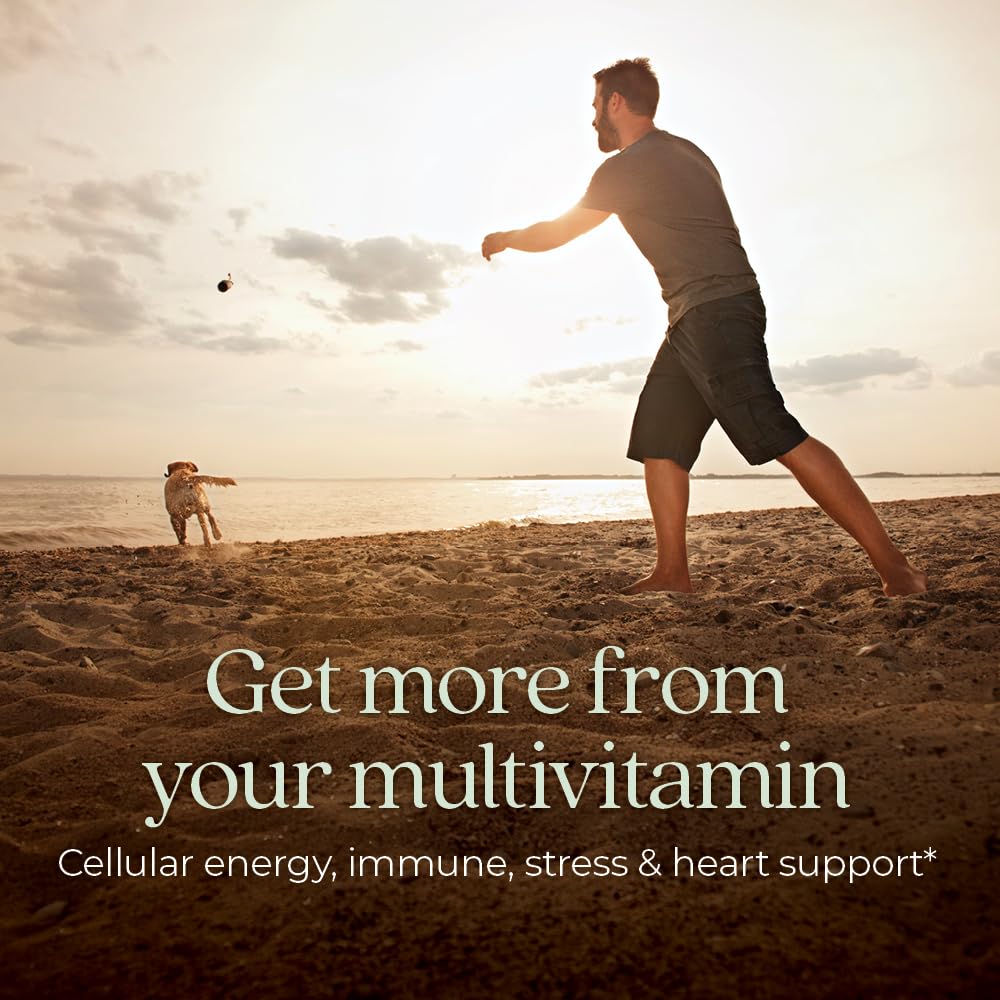 New Chapter Men's Multivitamin bottle back label detailing ingredients