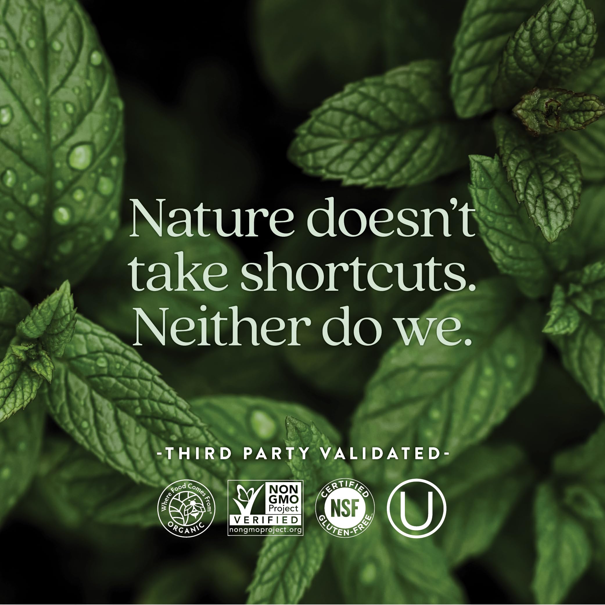 New Chapter uses certified organic vegetables and herbs in formula for natural nourishment