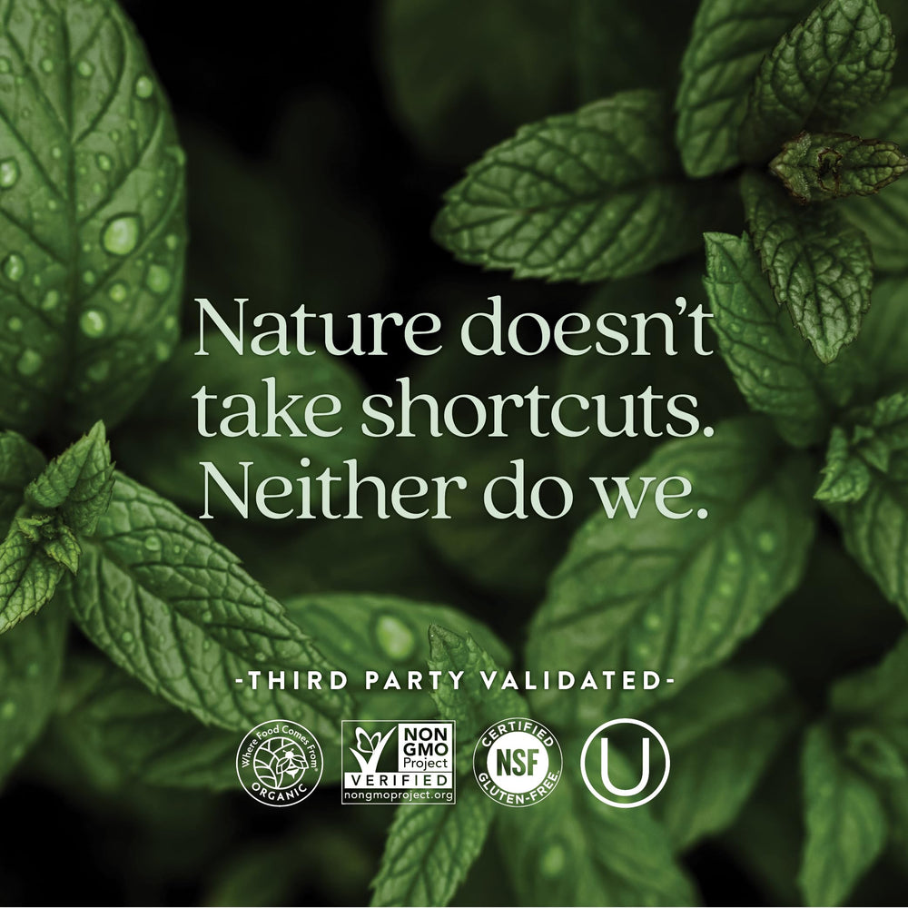 New Chapter Women’s Multivitamin 55+ packaging—non-GMO, vegetarian, and gluten-free certification.