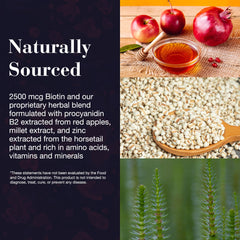 New Nordic gummies with natural botanicals pictured beside fruits suggest herbal support.