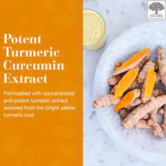 Close-up of New Nordic gummies in a serving dish highlighting mango orange flavor