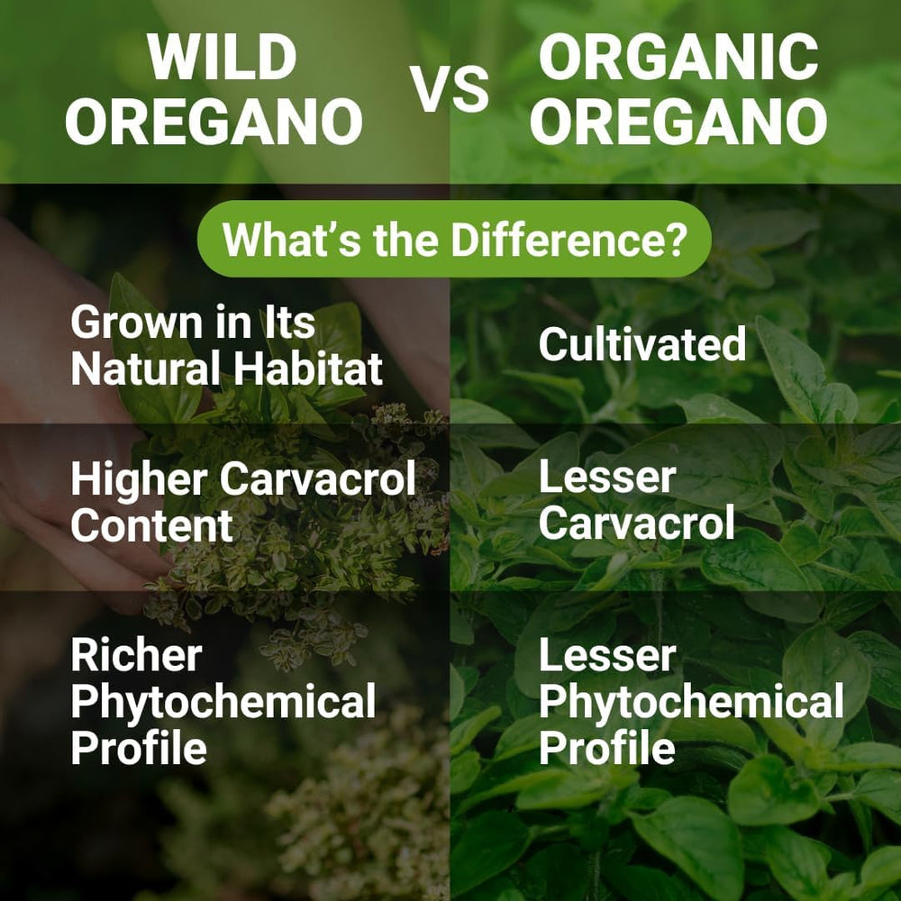 New Roots Herbal Wild Oregano Oil image suggests immune support potential.