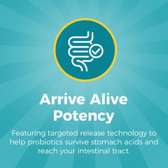 NewRhythm Probiotics illustration highlights digestive enzymes
