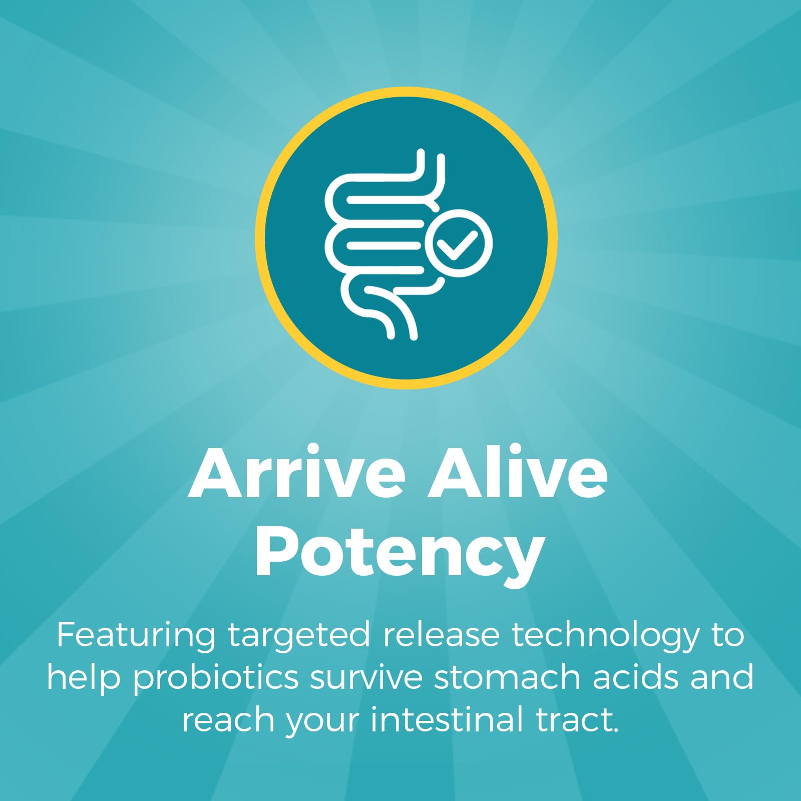 NewRhythm Probiotics targeted-release technology helps reach the intestines