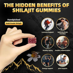 Newrish Shilajit Gummies with Manuka honey pairing highlights premium flavor