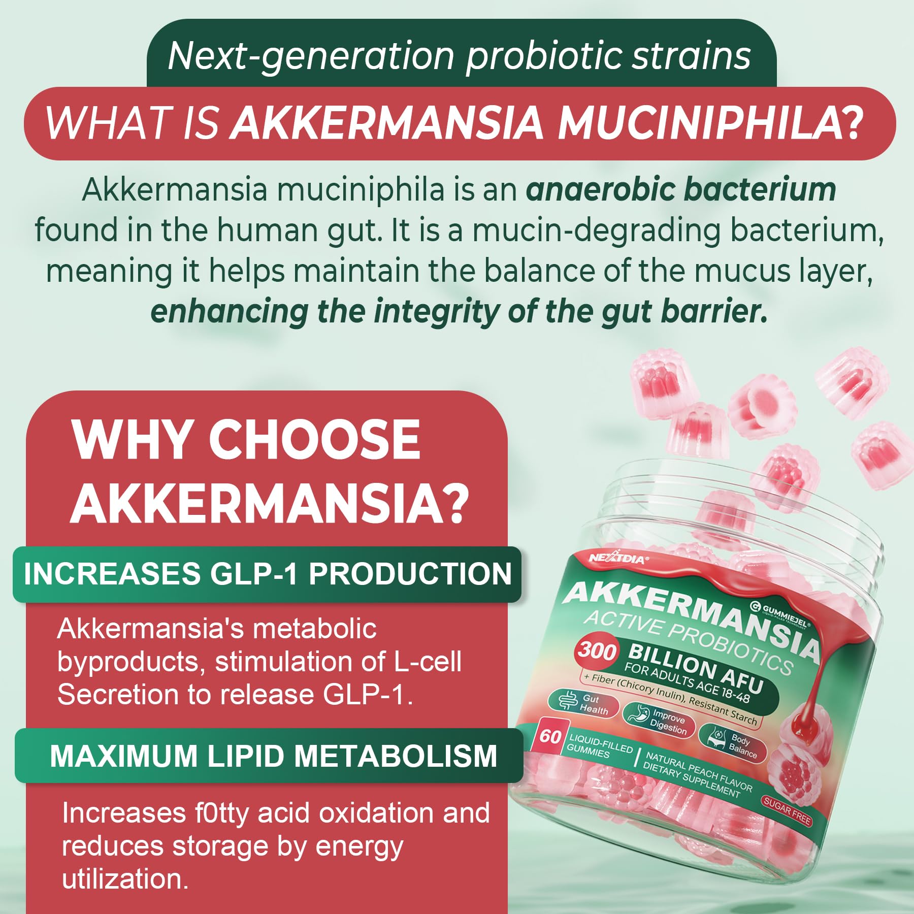 Nextdia Akkermansia Gummies label with prebiotics and vitamins for metabolic balance.