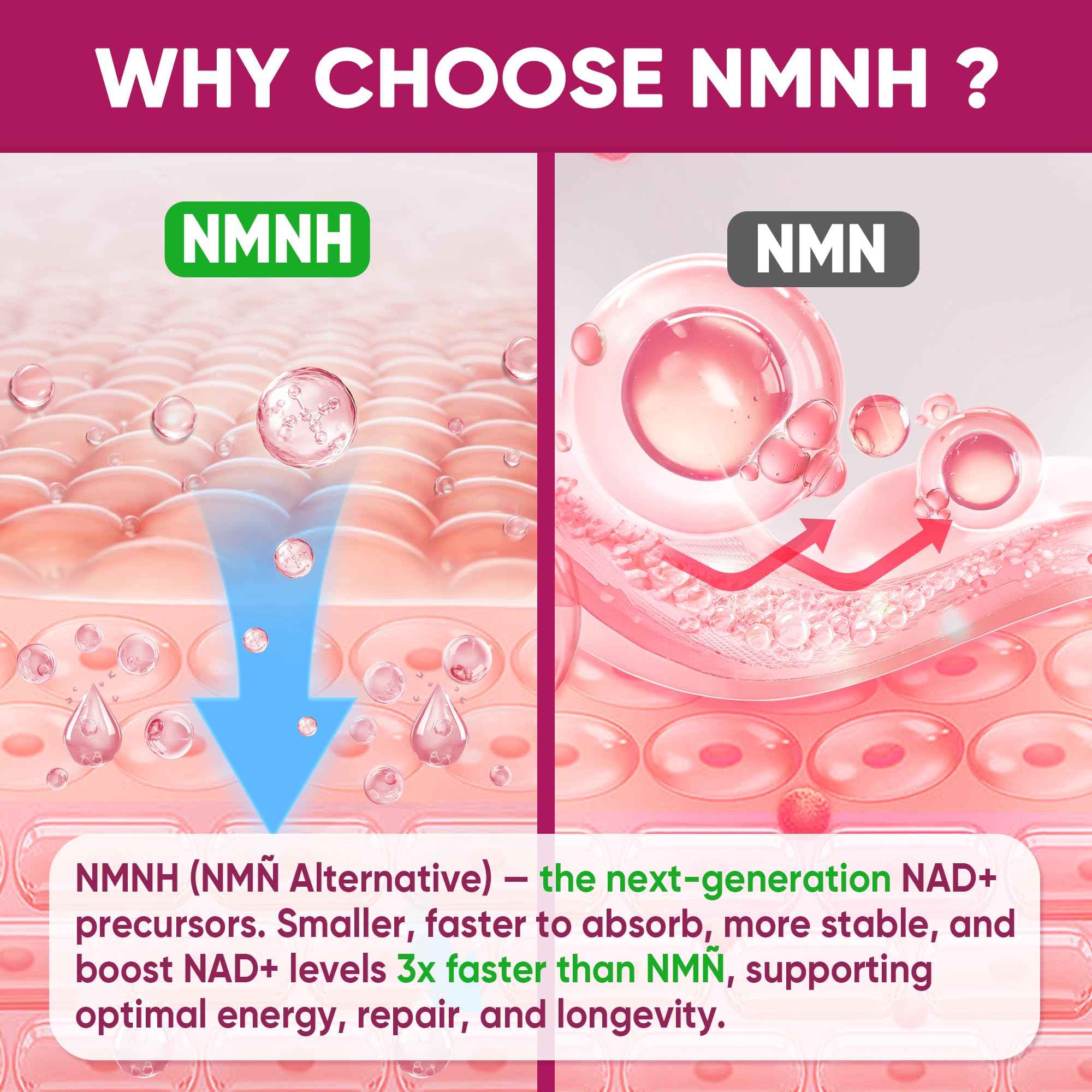 Nextdia NMNH Gummies packaging box highlights the sugar-free formula and peach flavor.