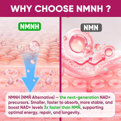 Nextdia NMNH Gummies packaging box highlights the sugar-free formula and peach flavor.