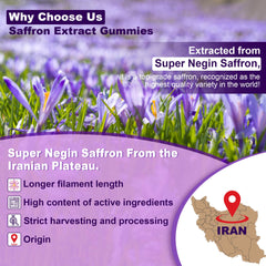 Nextdia saffron ingredients panel highlighting saffron, rosemary, and rhodiola.