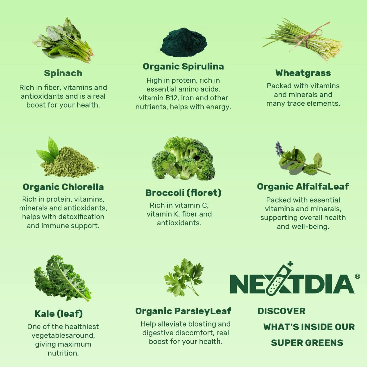Nextdia gummies close-up texture invites a chewy, enjoyable wellness bite
